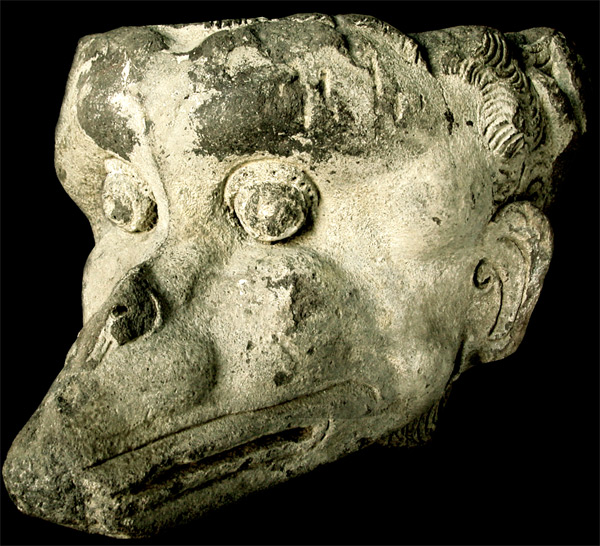 Monkey  Head