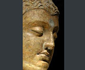 Head of Buddha 