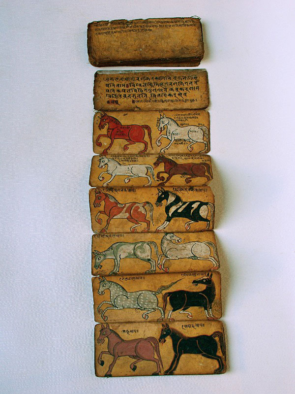 Newar Manuscript representing horses in different colors