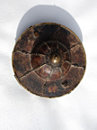 A pair of cymbals