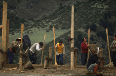 Workers build a wall of the Palpung Buddhism College, which is being constructed on the hill above Palpung. They compact the clay wall by dancing on top of the mix of clay and gravel.