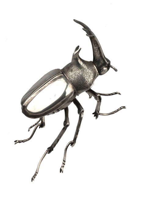 Stag Beetle