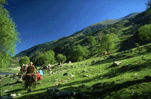 Conservation team travels by horse caravan from Baiya to Palpung.