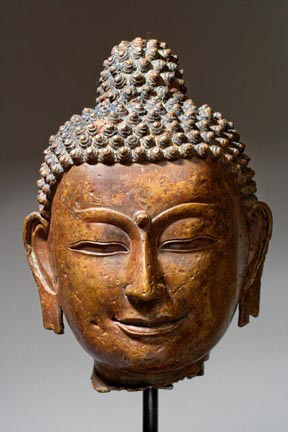 Head of the Buddha