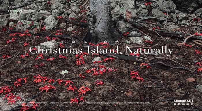 Christmas Island Exhibition poster