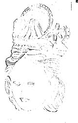 head