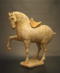 Prencing Horse