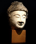 Buddha Head