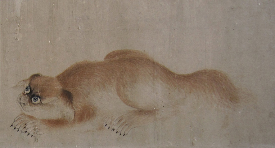 A fine painting of a crouching gold Pekingese dog