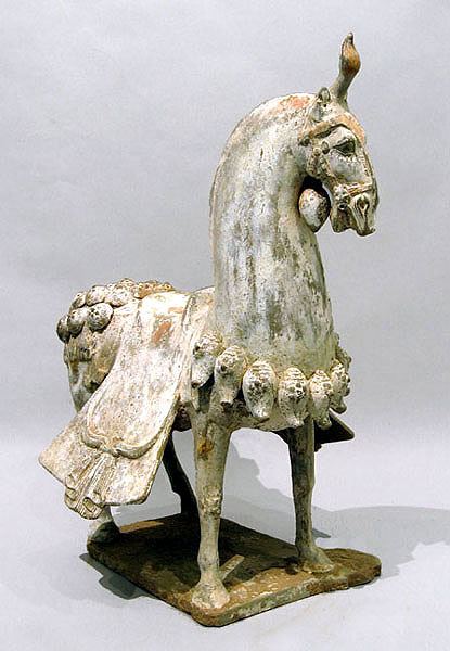 Caparisoned Horse