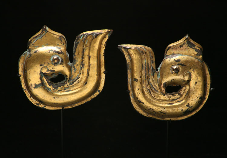 Horse Fittings