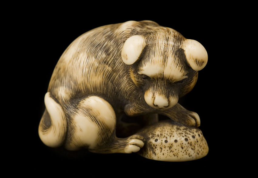 Netsuke of a dog with awabi shell