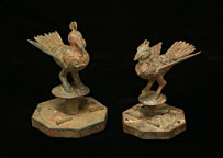 Birds