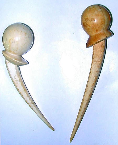 Ivory femurs