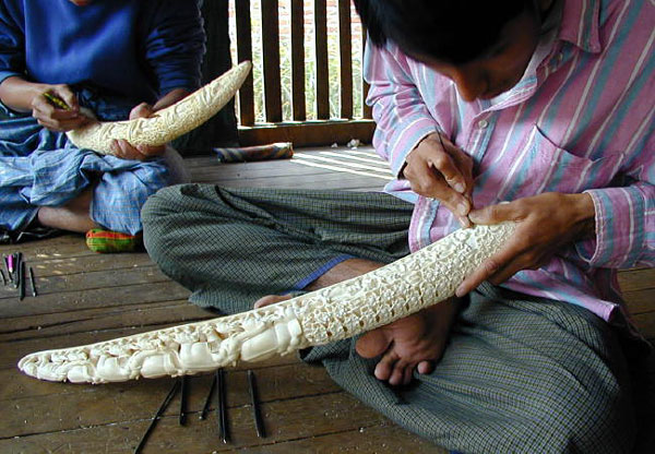 Carved tusk