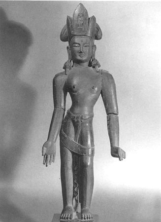 image6.jpg (27430 bytes)