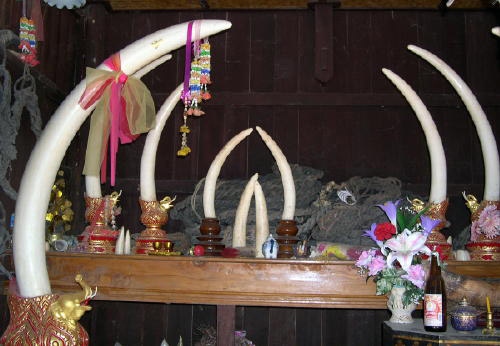 An elephant shrine