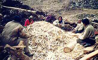 making wooden nails