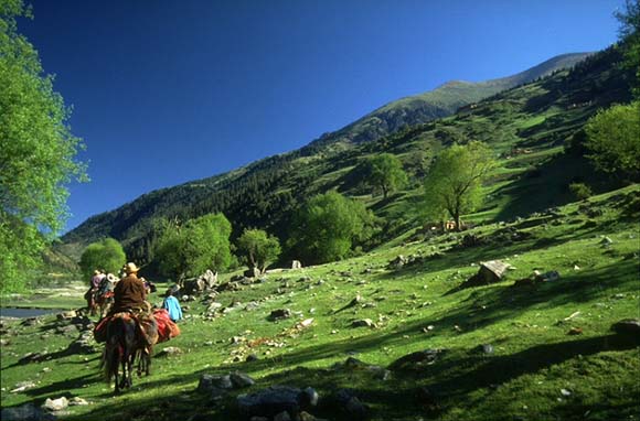 CERS team travels by horse caravan from Baiya to Palpung.