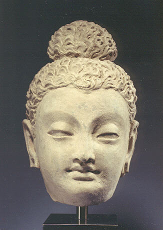 Buddha Head