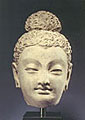 Buddha Head