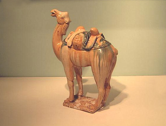 Camel