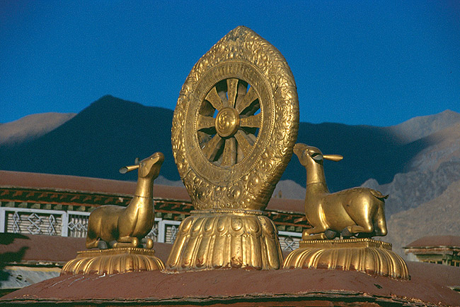 The Wheel of Dharma
