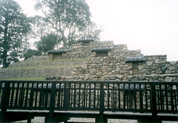 Fig.2
