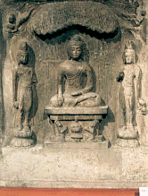 PADMA.gif (32063 bytes)
