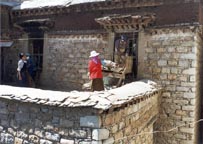 click for larger image