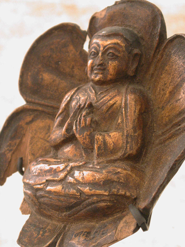 Lama in Lotus