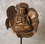 Lama