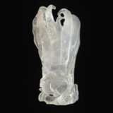 Buddha's Hand