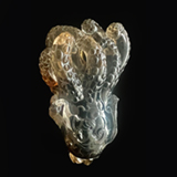 Buddha's Hand