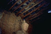 Detail of roof reconstruction in Yemar