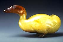 Duck