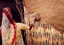 Building and shaping a wall: first, bamboo is covered with clay and dung